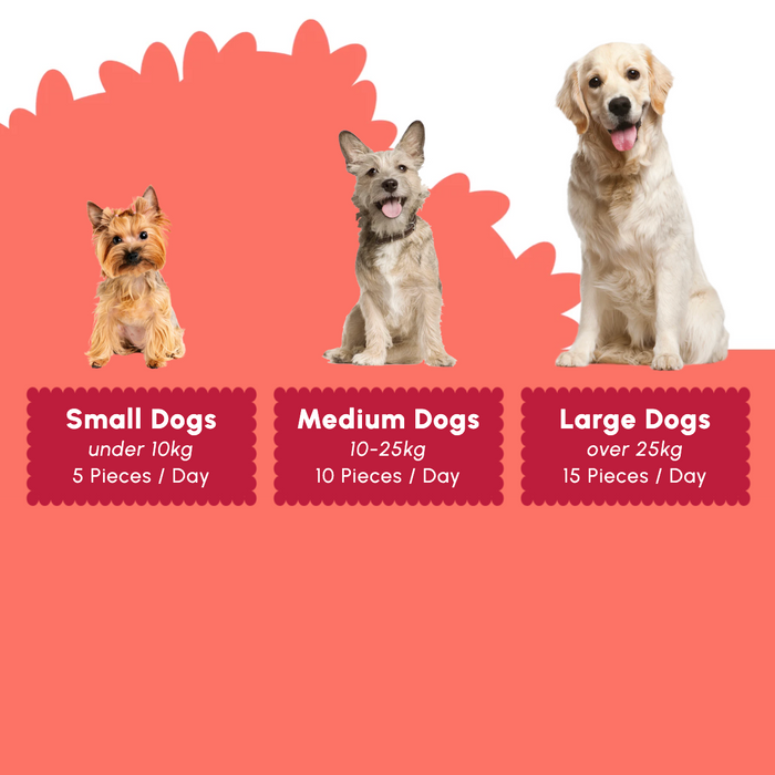 A dog-portion guide graphic with three dogs and text boxes for small, medium, and large dogs. The top half is white with a coral scalloped shape, and the bottom half is coral.