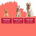 A dog-portion guide graphic with three dogs and text boxes for small, medium, and large dogs. The top half is white with a coral scalloped shape, and the bottom half is coral.