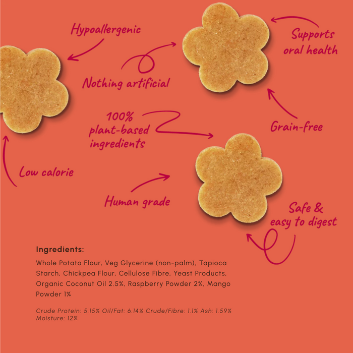 Four flower-shaped baked cookies on a coral background with handwritten callouts and a ingredients list. Text includes 'Hypoallergenic', 'Nothing artificial', '100% plant-based ingredients', 'Low calorie', 'Human grade', 'Supports oral health', 'Grain-free', and 'Safe & easy to digest'.