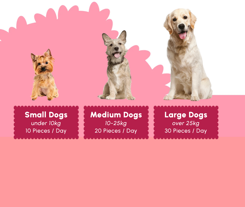 A pink and white informational graphic for dog treats, showing three dogs labeled Small Dogs, Medium Dogs, and Large Dogs with recommended daily piece counts.