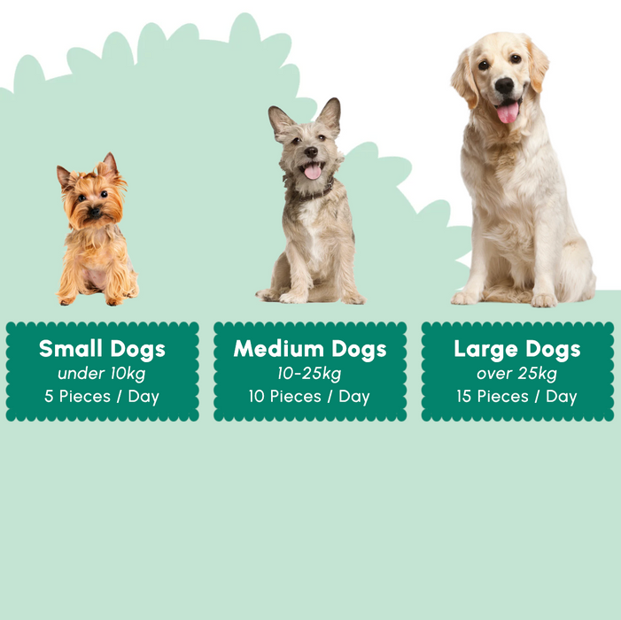 A dog weight-based supplement guide graphic showing three dogs of different sizes: a small tan dog, a medium gray dog, and a large golden retriever. Below each dog is a dark green label with white text reading 'Small Dogs under 10kg 5 Pieces / Day', 'Medium Dogs 10-25kg 10 Pieces / Day', and 'Large Dogs over 25kg 15 Pieces / Day'.