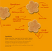 Four flower-shaped baked cookies on an orange background with handwritten red text highlighting product benefits and an ingredients list in the bottom left corner.