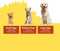 A yellow and white informational graphic showing three dogs of different sizes labeled Small Dogs, Medium Dogs, and Large Dogs, with text indicating weight ranges and daily piece counts.