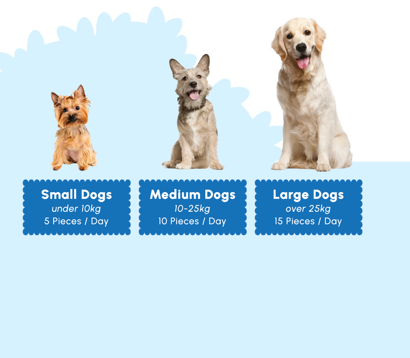 A dog-portion guide graphic showing three dogs of different sizes labeled Small Dogs, Medium Dogs, and Large Dogs with recommended piece counts and daily servings on a light blue background.