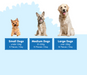 A dog-portion guide graphic showing three dogs of different sizes labeled Small Dogs, Medium Dogs, and Large Dogs with recommended piece counts and daily servings on a light blue background.