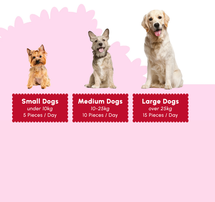 Soopa Natural Dog Treats - Strawberry & Coco-Cream Cupcake - 50g