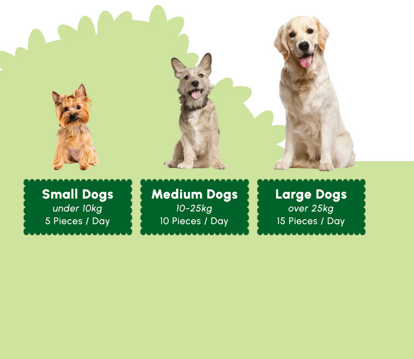 A dog-feeding size chart graphic showing three dogs of different sizes (a terrier, a mixed breed, and a golden retriever) with labels for Small Dogs, Medium Dogs, and Large Dogs, indicating the number of pieces to eat per day.