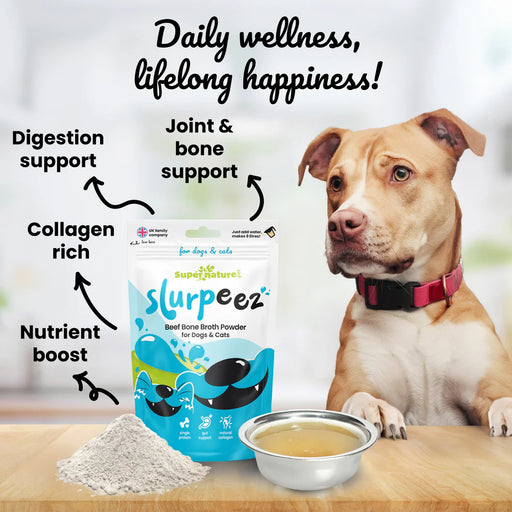 Slurpeez packet with a dog infographic