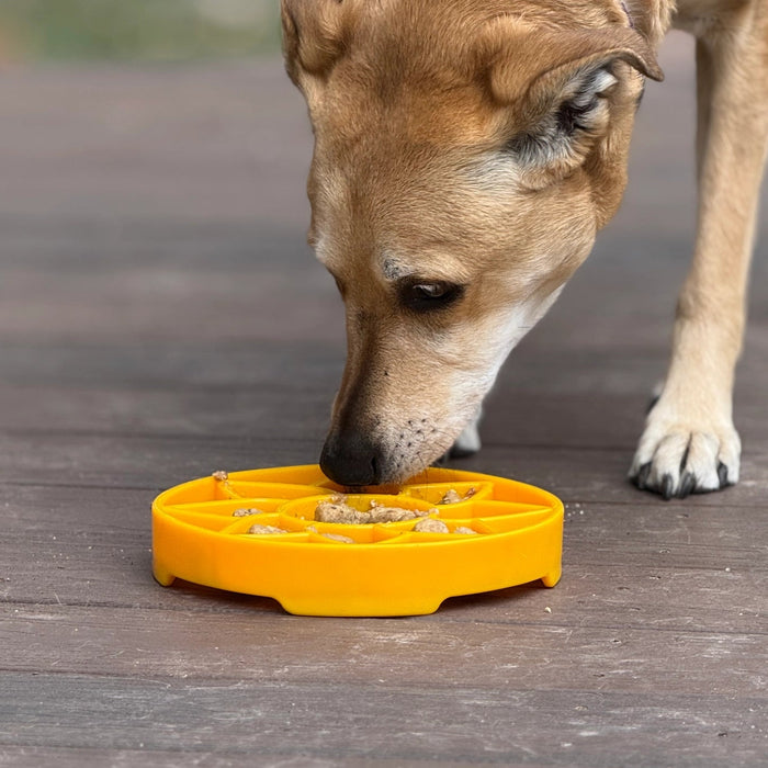 SodaPup Sunflower Design Shallow Slow Feeder Dog Bowl