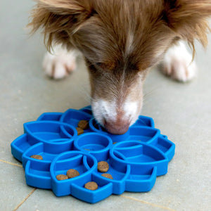 SodaPup Mandala Dog Slow Feeder Deal