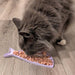Cat eating from a fish-shaped food dish on a wooden floor