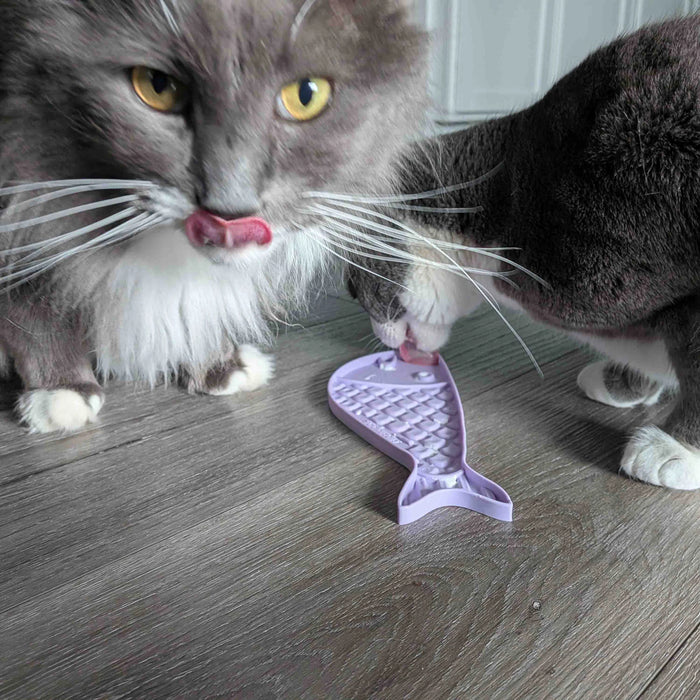 Gray cat playing with a purple fish-shaped toy on a wooden floor.