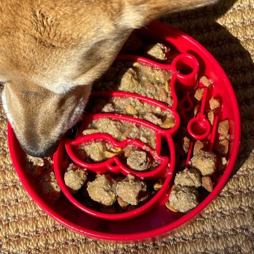 Dog eating from a red slow feeder bowl on a textured surface