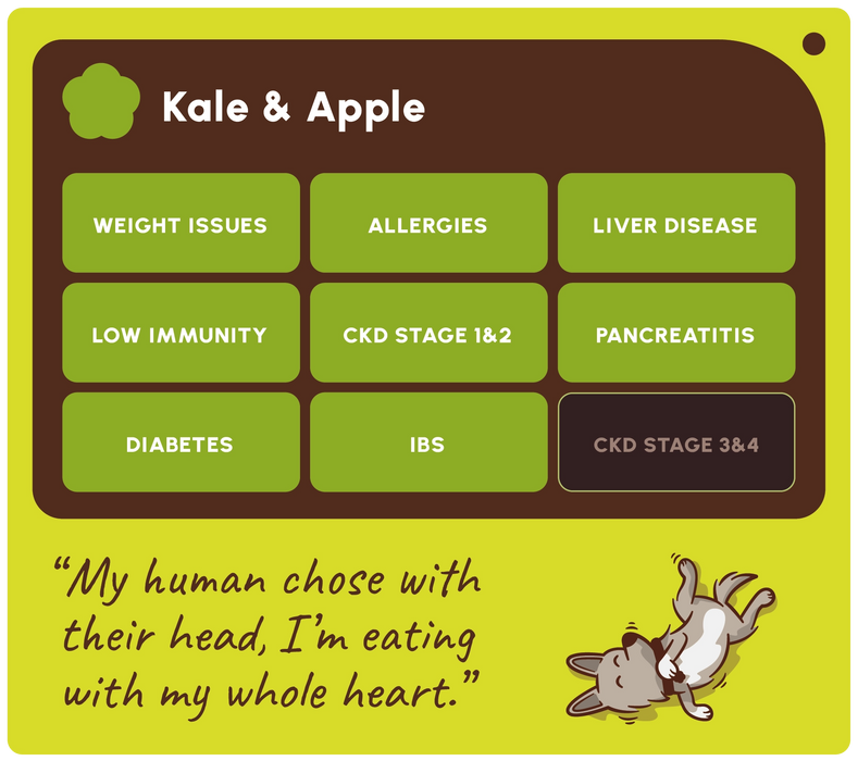A digital graphic card for a 'Kale & Apple' dietary supplement, featuring a dark brown header with white text and a grid of green health benefits. The bottom section has a lime green background with a humorous quote in black script and a cartoon illustration of a dog lying on its back.