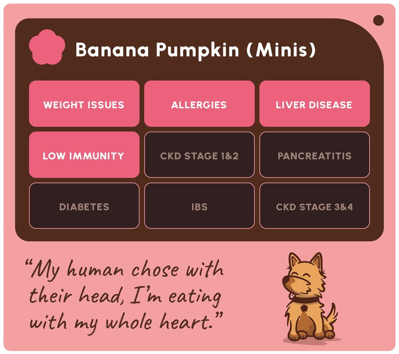 A pink and dark brown informational graphic titled 'Banana Pumpkin (Minis)' listing health conditions such as weight issues, allergies, liver disease, low immunity, diabetes, IBS, and CKD stages. A cartoon dog sits at the bottom next to a quote.