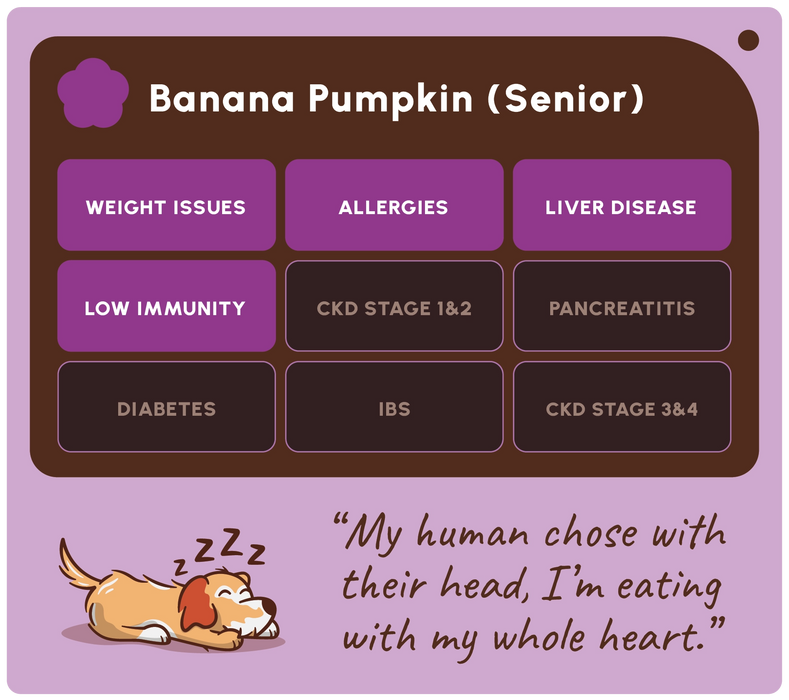 A digital graphic card for 'Banana Pumpkin (Senior)' featuring a list of health conditions in purple and brown boxes, a cartoon sleeping dog with 'Z's', and a quote on a lavender background.