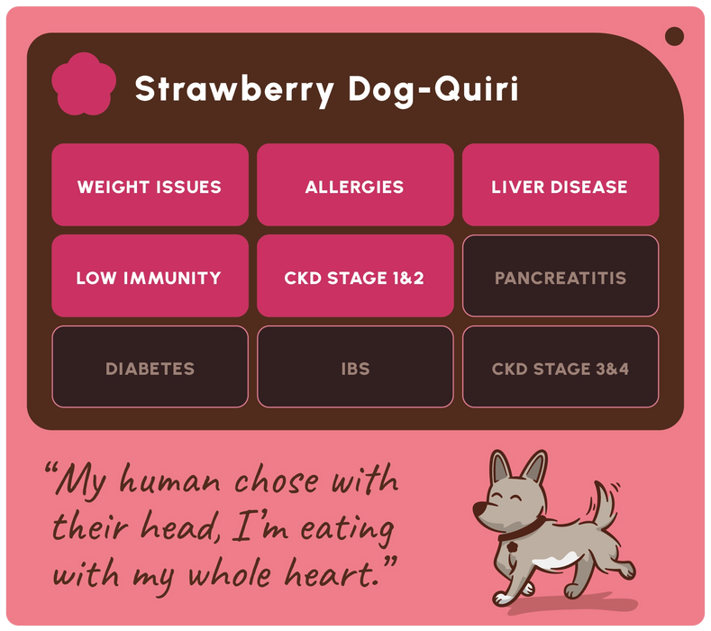 A pink and dark brown graphic card titled 'Strawberry Dog-Quiri' with a grid of medical conditions in pink and dark brown boxes, plus a quote and a cartoon dog at the bottom.