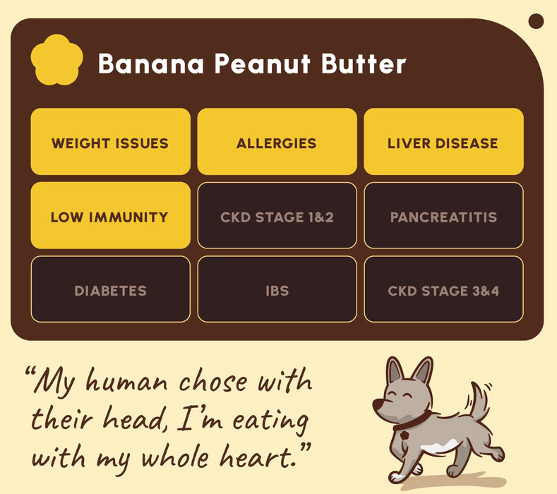 A digital graphic banner with the text 'Banana Peanut Butter' at the top, listing various health conditions like weight issues, allergies, and diabetes in yellow and dark brown boxes. Below, a quote reads 'My human chose with their head, I'm eating with my whole heart.