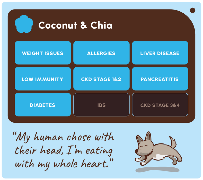 A digital graphic card for a pet supplement called 'Coconut & Chia'. The top section features a dark brown rounded rectangle with a blue cloud icon and white text listing conditions like weight issues, allergies, liver disease, low immunity, CKD stage 1&2, pancreatitis, diabetes, IBS, and CKD stage 3&4, set against a light blue background.