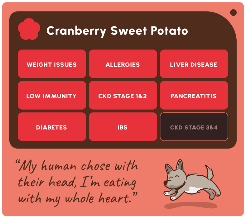 A digital graphic card for a 'Cranberry Sweet Potato' dietary supplement or food plan, featuring a list of health conditions, a quote, and a cartoon dog on a coral and dark brown background.