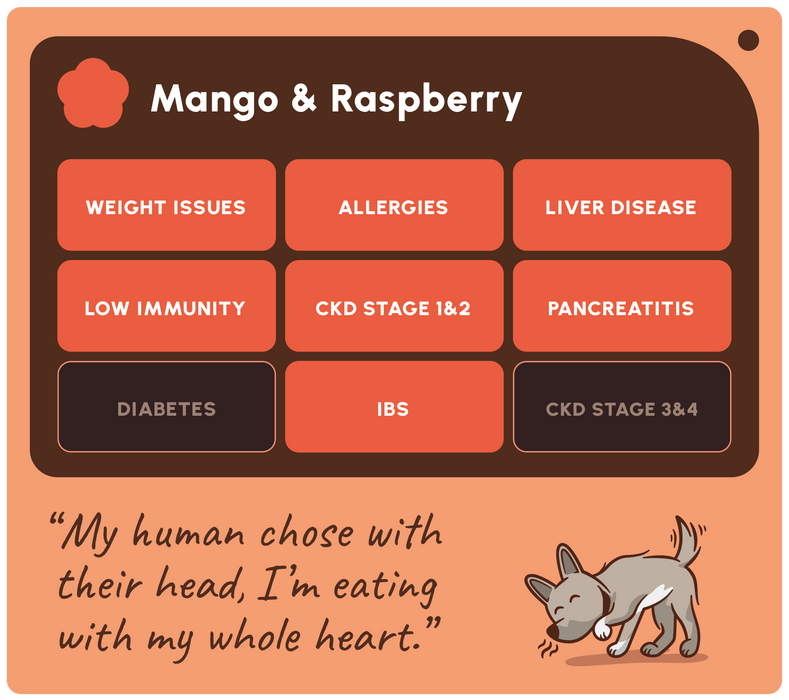 A digital graphic card for a custom pet health test kit, titled 'Mango & Raspberry'. The card features a dark brown header and a peach-orange background.