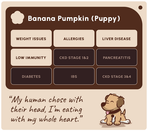 A digital graphic card titled 'Banana Pumpkin (Puppy)' outlining health considerations for a puppy with a banana pumpkin diet. The graphic features a grid of symptoms like weight issues, allergies, and liver disease on beige and dark brown blocks, a quote at the bottom left, and a cartoon puppy at the bottom right.