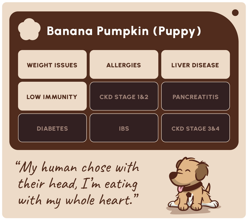 A digital graphic card titled 'Banana Pumpkin (Puppy)' outlining health considerations for a puppy with a banana pumpkin diet. The graphic features a grid of symptoms like weight issues, allergies, and liver disease on beige and dark brown blocks, a quote at the bottom left, and a cartoon puppy at the bottom right.