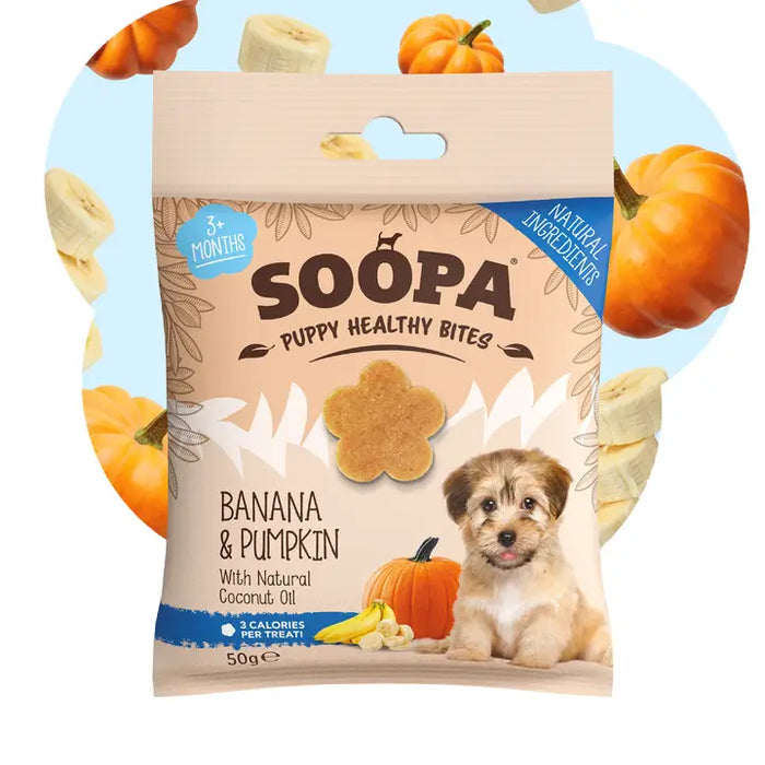 A 50g bag of Soopa Puppy Healthy Bites in Banana & Pumpkin flavor, featuring a cartoon puppy and illustrations of pumpkins and bananas on the packaging, set against a light blue circular background with floating pumpkin and banana graphics.
