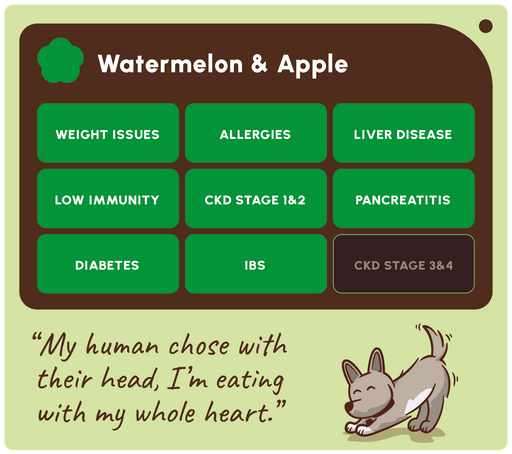 A digital graphic card for a pet supplement or food called 'Watermelon & Apple'. The card features a dark brown header with white text and green health category buttons indicating conditions like weight issues, allergies, and liver disease.