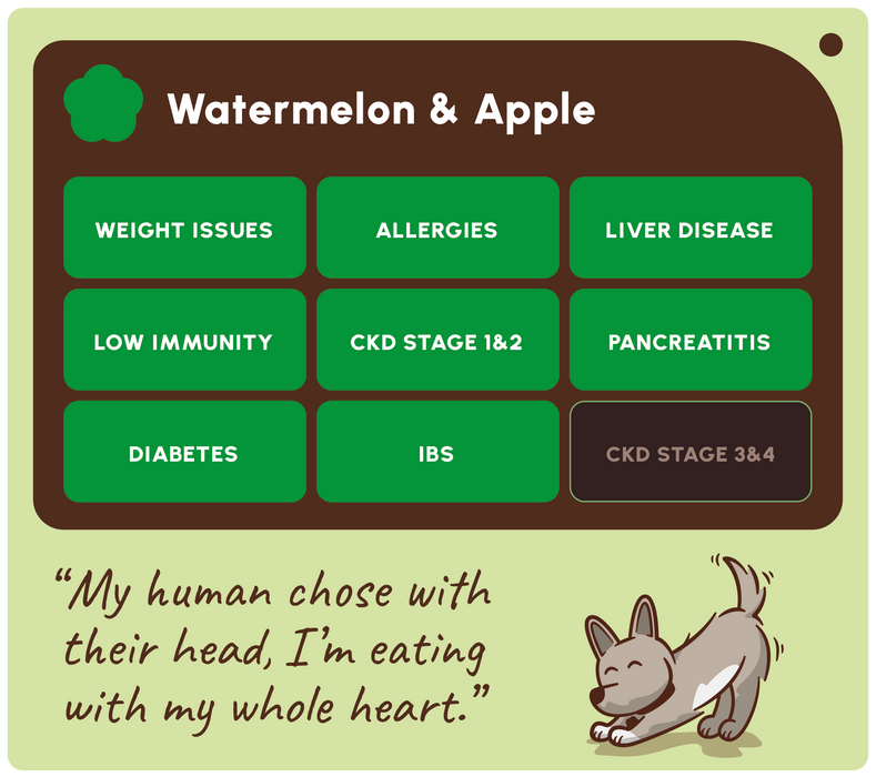 A digital graphic card for a pet supplement or food called 'Watermelon & Apple'. The card features a dark brown header with white text and green health category buttons indicating conditions like weight issues, allergies, and liver disease.