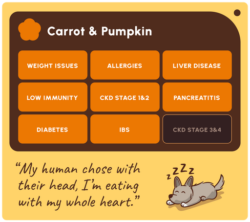 A digital graphic card for a pet health supplement or educational resource titled 'Carrot & Pumpkin'. The design features a dark brown header and a light yellow background.