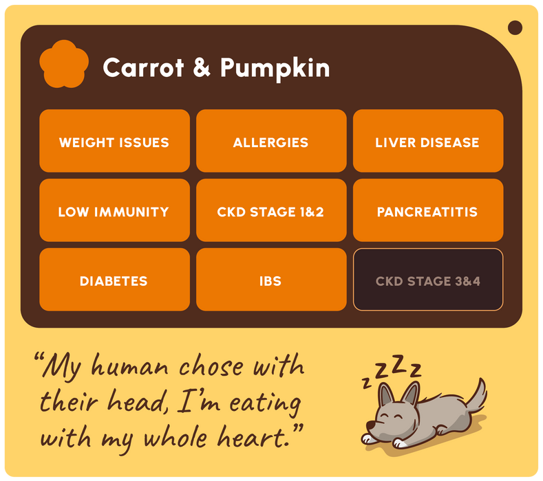 A digital graphic card for a pet health supplement or educational resource titled 'Carrot & Pumpkin'. The design features a dark brown header and a light yellow background.