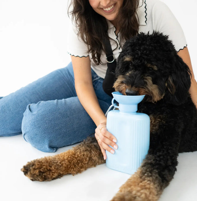 Dog Water Travel Bottle - Large