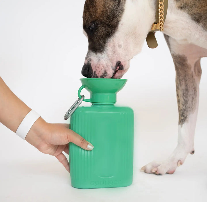 Dog Water Travel Bottle - Large