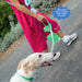 woman walking dog with text