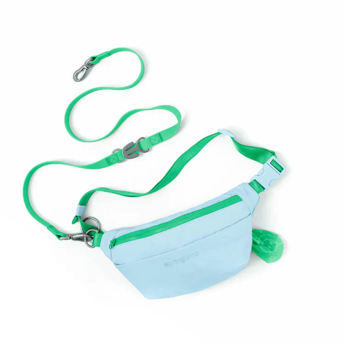 blue and green bag 