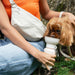 dog drinking from cream water bottle with bag  on human