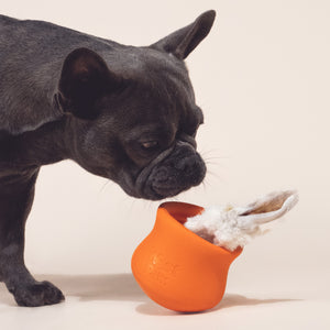 WestPaw Toppls: Enrich Your Dog's Day