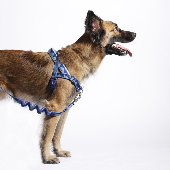 Zee.Dog SofterWalk Dog Harness - Swell