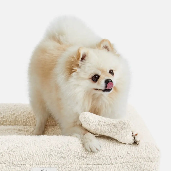 White Boucle Fabric Bed for Dogs - S/M/L