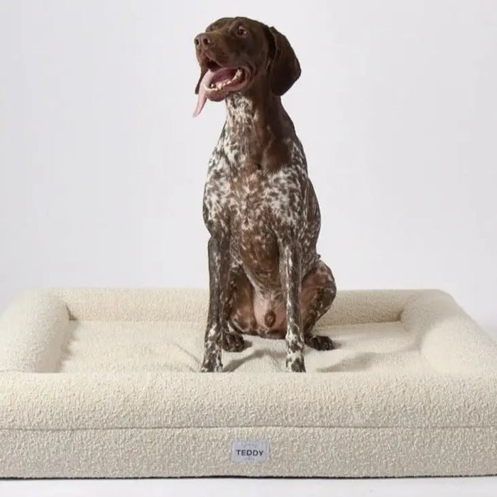 White Boucle Fabric Bed for Dogs - S/L