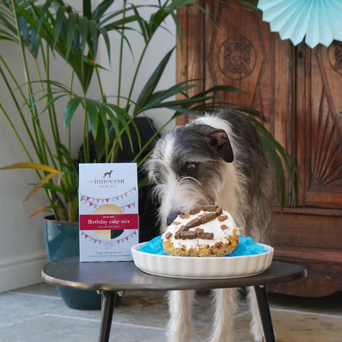 The Innocent Hound Grain-Free Dog Birthday Cake Mix