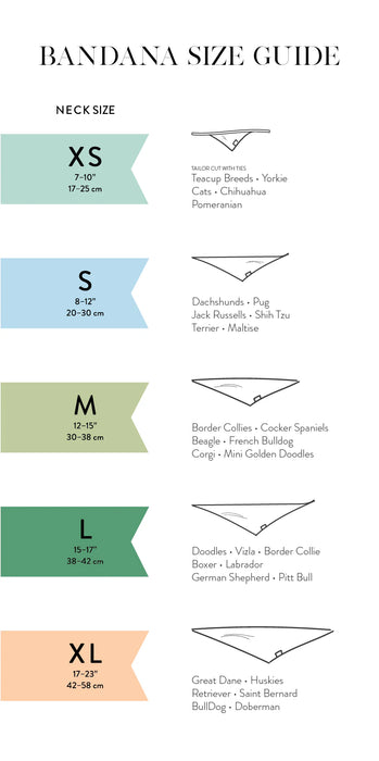 Celebration Bandana for Dogs