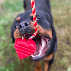 Tuff Lovin' Durable Toys For Strong Jaws