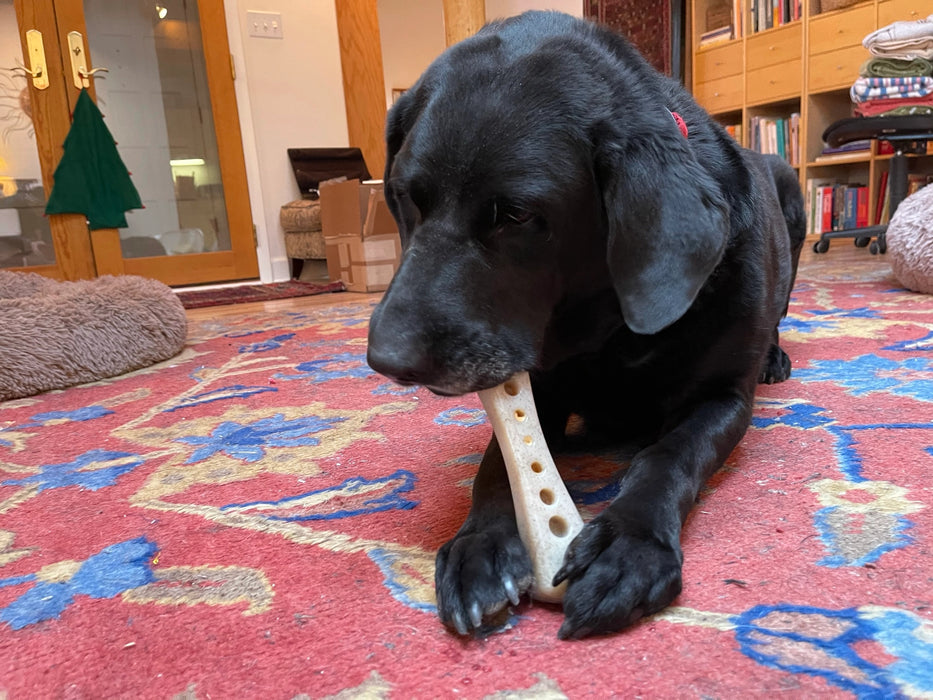 Ultra Durable Nylon Treat Dispensing Chew Toy Bone for Dogs