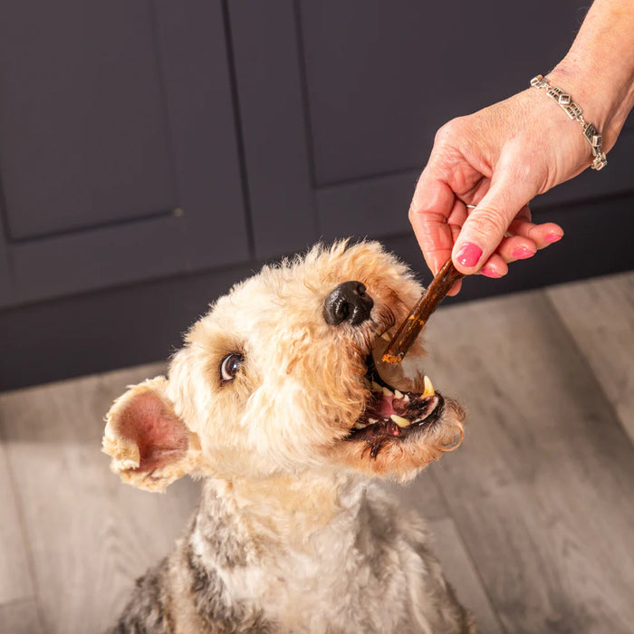 Gourmet Turkey Sticks Natural Dog Chews & Treats - 200g