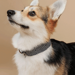 Luxury Leathers & Handwoven Walkwear