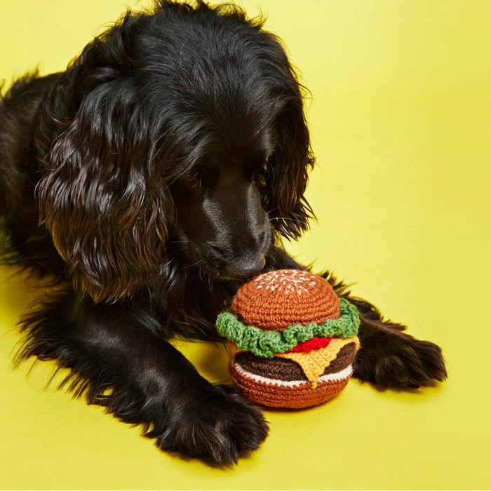 Black dog playing with a crochet hamburger toy on a yellow background