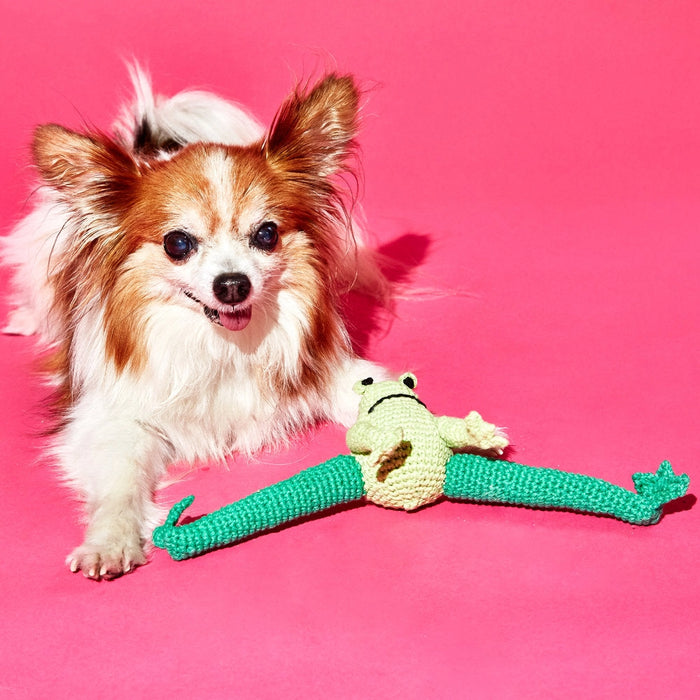 Ware of the Dog Hand Crochet Dog Toy - Frog