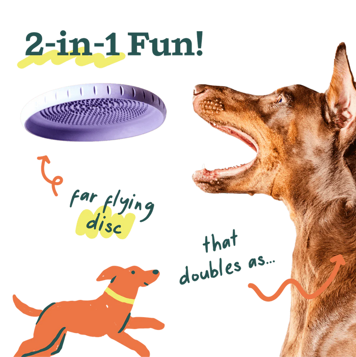 Woof Fly 'N' Feed Lavender Dog Frisbee & Lick Mat